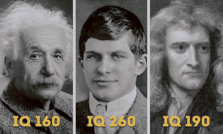Bi kịch của người thông minh nhất thế giới, IQ vượt xa Einstein, Newton |  baotintuc.vn